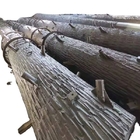 전기적 원거리 통신을 위한 철 야자나무 단극 탑